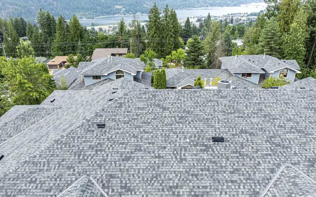 Cedar Grove Estates Roof & Sheathing Replacement